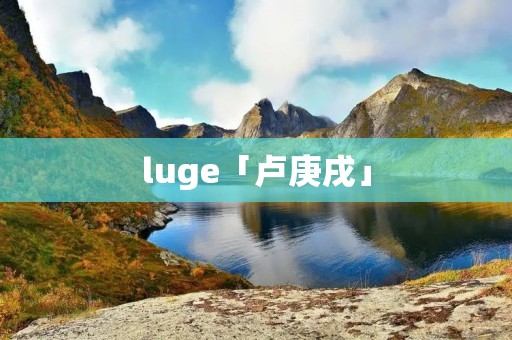 luge「卢庚戌」 luge「卢庚戌」