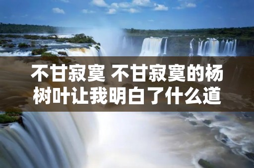 不甘寂寞 不甘寂寞的杨树叶让我明白了什么道理