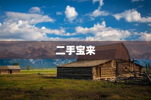二手宝来:让你的闲置物品变现的好帮手 二手宝来:让你的闲置物品变现的好帮手