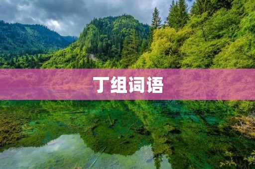 丁组词语：瓶颈、丁丁当当、丁香、丁烷、丁基、丁字路口、丁丑、丁一点、丁点、丁苯