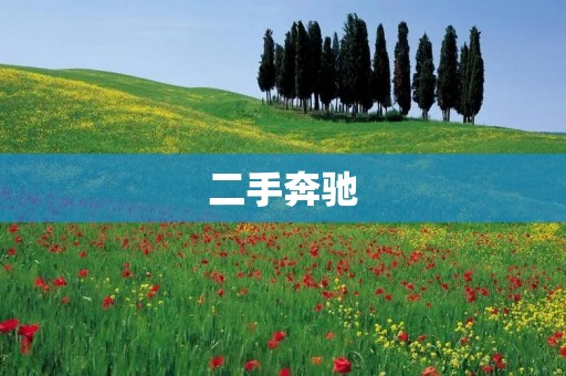 二手奔驰:从性价比、车况、保养等多方面来看 二手奔驰:从性价比、车况、保养等多方面来看