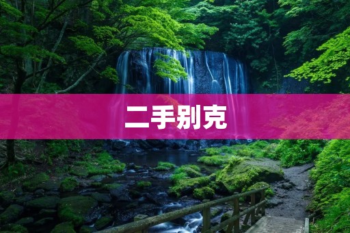 二手别克:值得信赖的选择 二手别克:值得信赖的选择