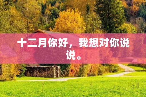 十二月你好,我想对你说说。
