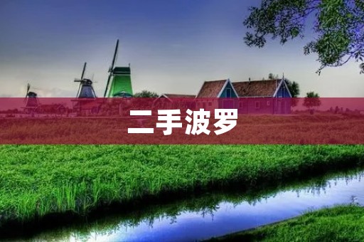 二手波罗:优质生活的选择 二手波罗:优质生活的选择