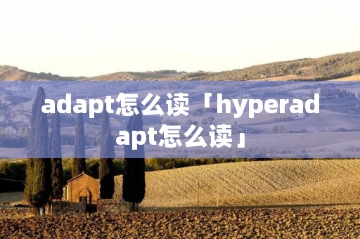 adapt怎么读「hyperadapt怎么读」