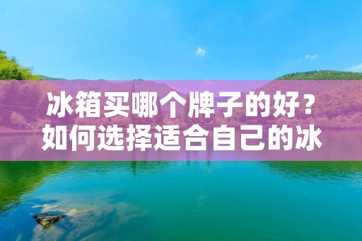 冰箱买哪个牌子的好？如何选择适合自己的冰箱？