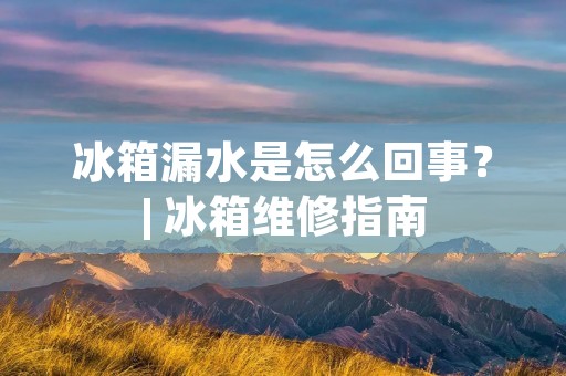 冰箱漏水是怎么回事？| 冰箱维修指南