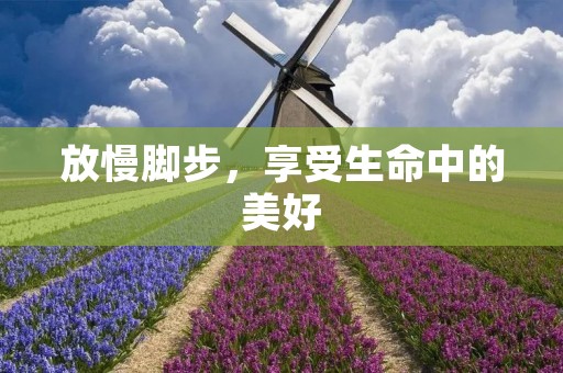 放慢脚步,享受生命中的美好 放慢脚步,享受生命中的美好