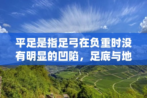 平足是指足弓在负重时没有明显的凹陷,足底与地面接触面积较大,一般认为是一种足部畸形。平足不仅会影响个人的外观形象,还会对身体健康产生不良影响,如引起腰酸背痛、膝关节疼痛等。本文将详细介绍平足的成因、症状、预防和治疗方法。 平足是指足弓在负重时没有明显的凹陷,足底与地面接触面积较大,一般认为是一种足部畸形。平足不仅会影响个人的外观形象,还会对身体健康产生不良影响,如引起腰酸背痛、膝关节疼痛等。本文将详细介绍平足的成因、症状、预防和治疗方法。