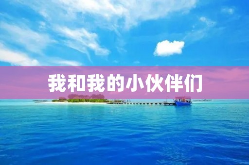 我和我的小伙伴们 我和我的小伙伴们