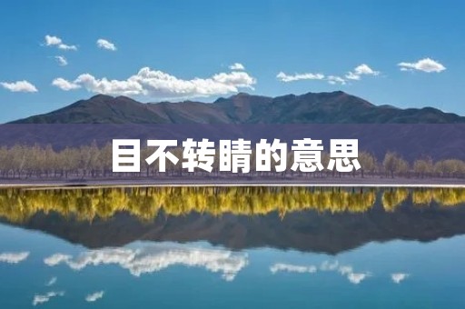 目不转睛的意思：专注和坚定的注视