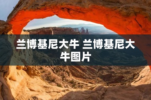 兰博基尼大牛 兰博基尼大牛图片