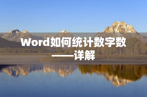 Word如何统计数字数——详解 Word如何统计数字数——详解