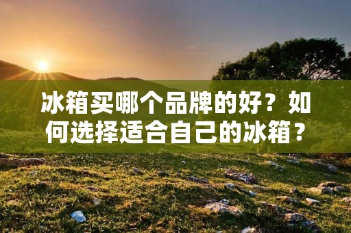 冰箱买哪个品牌的好？如何选择适合自己的冰箱？
