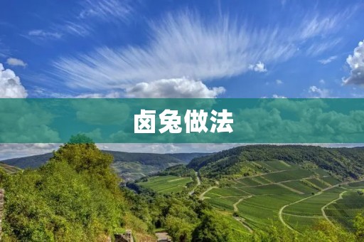 卤兔做法：美味佳肴不再难