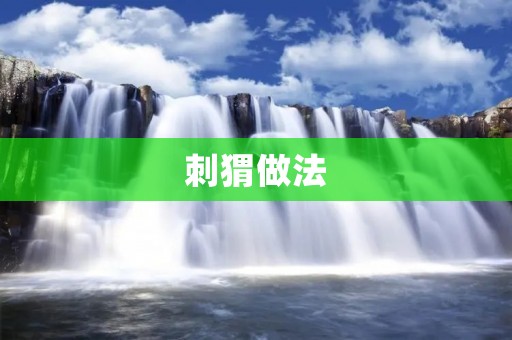 刺猬做法:烤制、炖煮和煎炸 刺猬做法:烤制、炖煮和煎炸