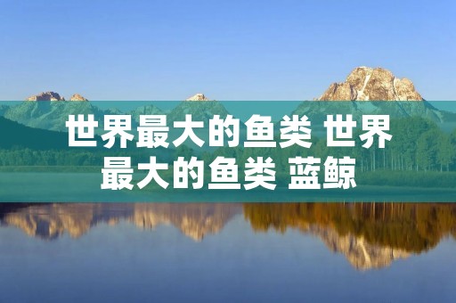 世界最大的鱼类 世界最大的鱼类 蓝鲸