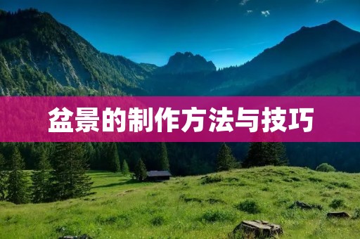 盆景的制作方法与技巧 盆景的制作方法与技巧
