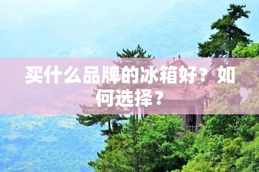买什么品牌的冰箱好？如何选择？
