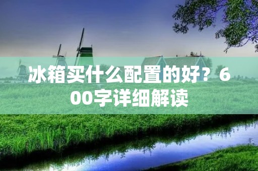 冰箱买什么配置的好？600字详细解读