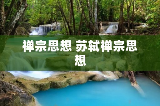 禅宗思想 苏轼禅宗思想