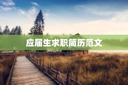 应届生求职简历范文：打造完美简历，职场抢先一步