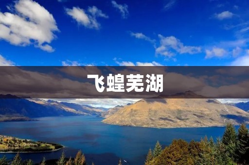 飞蝗芜湖:灾难与挑战 飞蝗芜湖:灾难与挑战