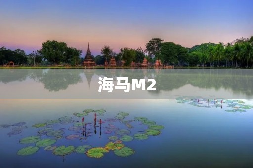 海马M2：小车大能量