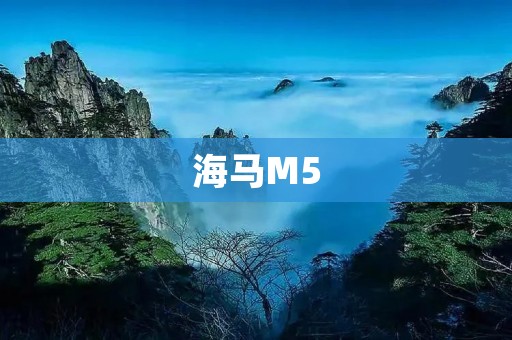 海马M5:一款性价比极高的SUV 海马M5:一款性价比极高的SUV