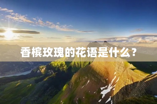 香槟玫瑰的花语是什么?