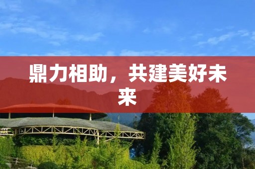 鼎力相助，共建美好未来