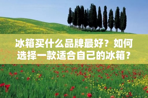 冰箱买什么品牌最好？如何选择一款适合自己的冰箱？