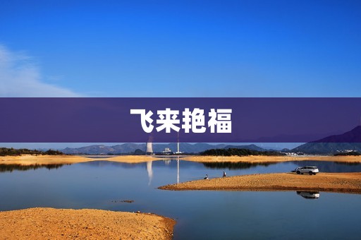 飞来艳福:生活中的偶然与机遇 飞来艳福:生活中的偶然与机遇