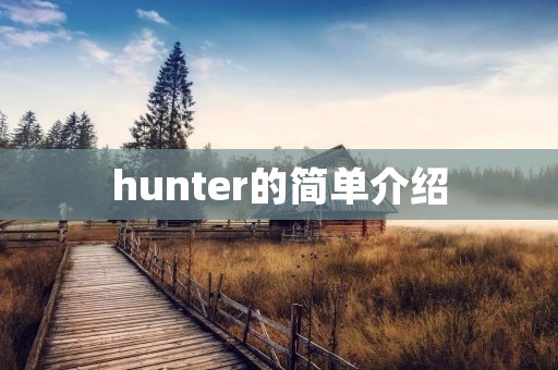 hunter的简单介绍