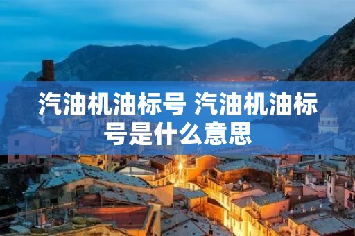 汽油机油标号 汽油机油标号是什么意思