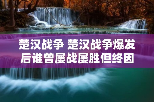 楚汉战争 楚汉战争爆发后谁曾屡战屡胜但终因不善谋划全局