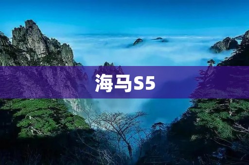 海马S5:一款年轻人的潮流选择 海马S5:一款年轻人的潮流选择