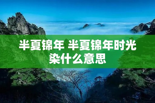 半夏锦年 半夏锦年时光染什么意思