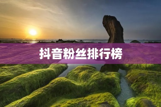 抖音粉丝排行榜:谁是最受欢迎的抖音达人?