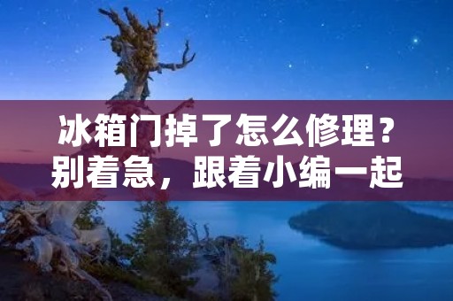 冰箱门掉了怎么修理?别着急,跟着小编一起来看看吧! 冰箱门掉了怎么修理?别着急,跟着小编一起来看看吧!