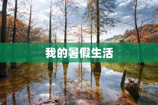 我的暑假生活