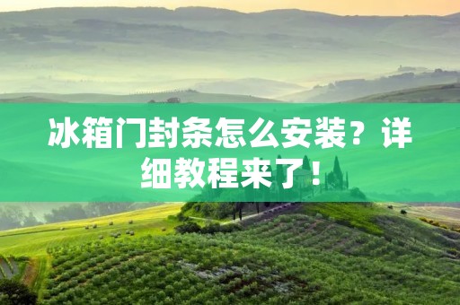冰箱门封条怎么安装?详细教程来了! 冰箱门封条怎么安装?详细教程来了!