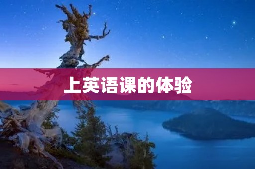 上英语课的体验