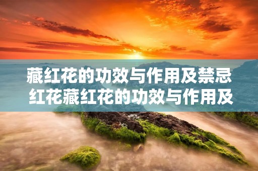 藏红花的功效与作用及禁忌 红花藏红花的功效与作用及禁忌 藏红花的功效与作用及禁忌 红花藏红花的功效与作用及禁忌