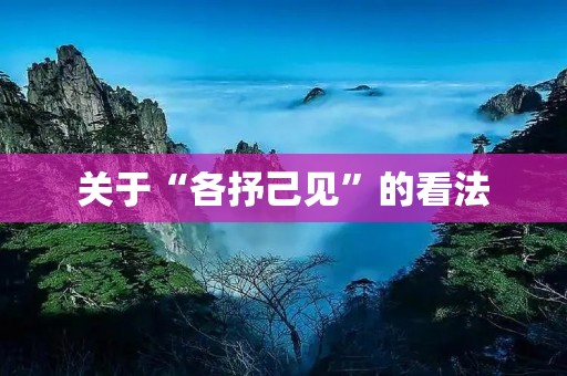 关于“各抒己见”的看法