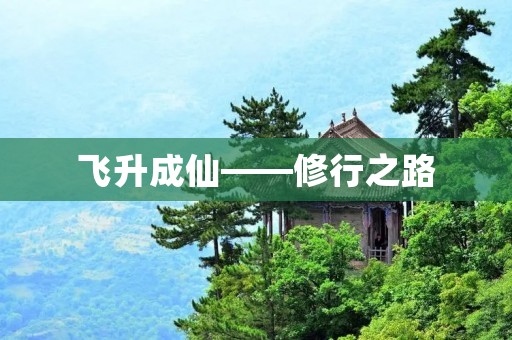 飞升成仙——修行之路 飞升成仙——修行之路