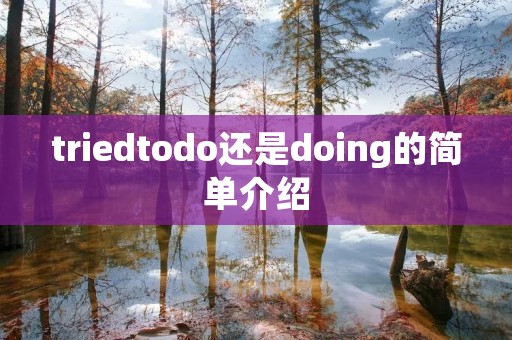 triedtodo还是doing的简单介绍 triedtodo还是doing的简单介绍