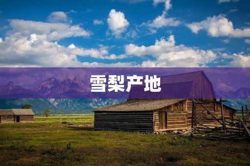 雪梨产地:探访澳大利亚的雪梨种植基地