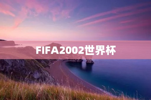FIFA2002世界杯:一个充满**和荣耀的足球盛宴 FIFA2002世界杯:一个充满**和荣耀的足球盛宴