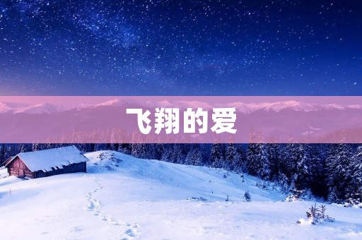 飞翔的爱:一个关于信仰与坚持的故事 飞翔的爱:一个关于信仰与坚持的故事
